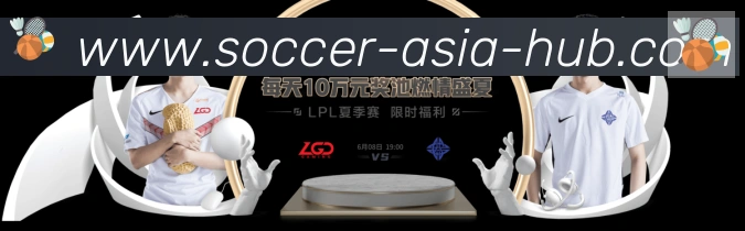 未来规划
